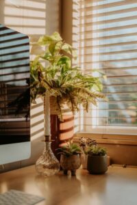 resized_115233