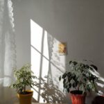 Tips for Creating a Cozy and Inviting Home Office Space